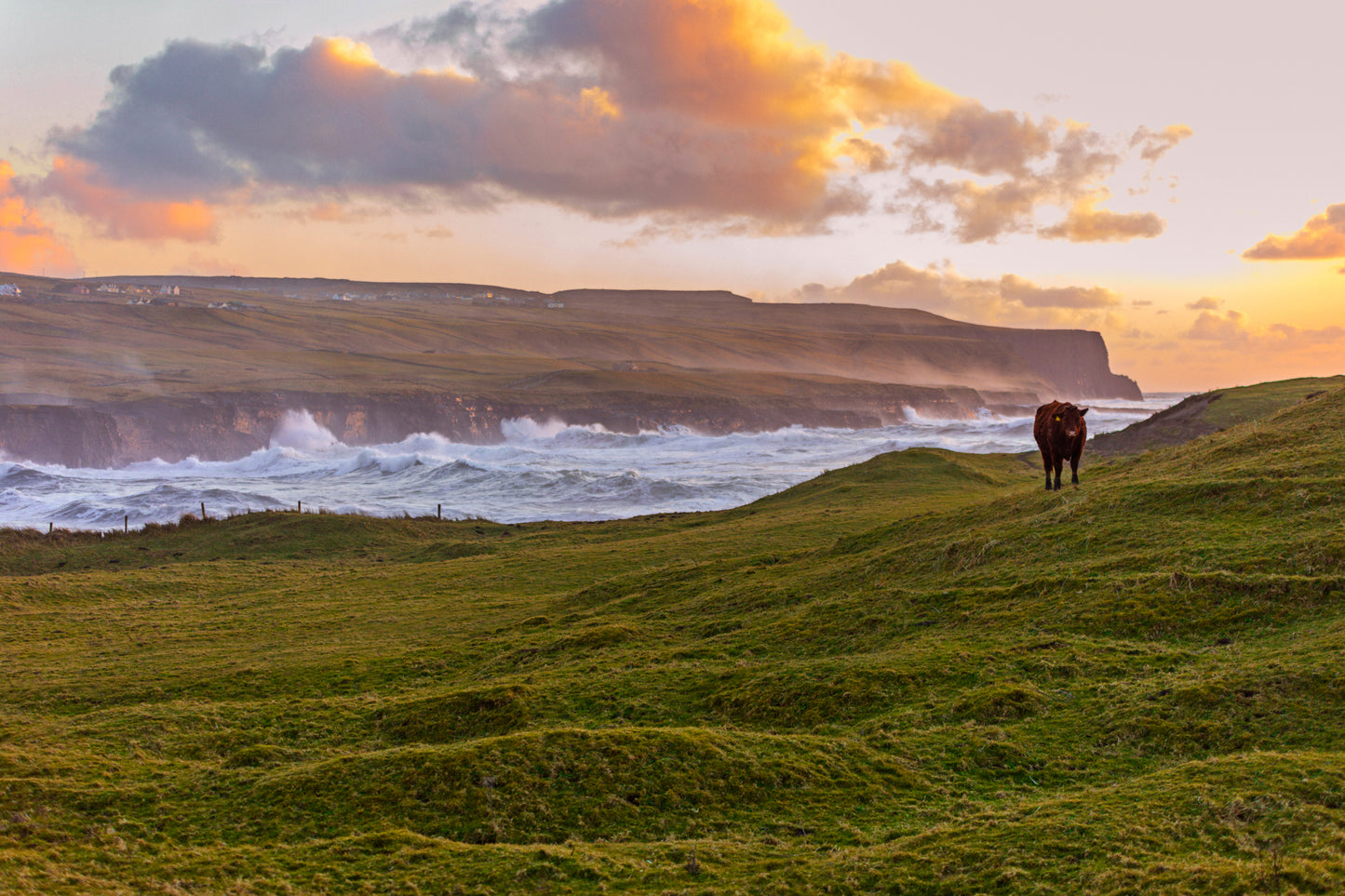 Landscape photographer, Cliffs of Moher and West of Ireland